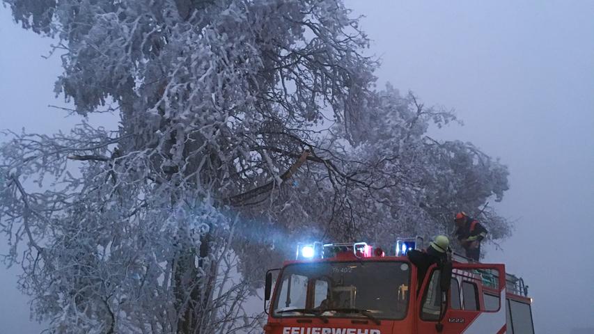 Traumhafte  Winterlandschaft: Erster Schnee verzaubert Franken