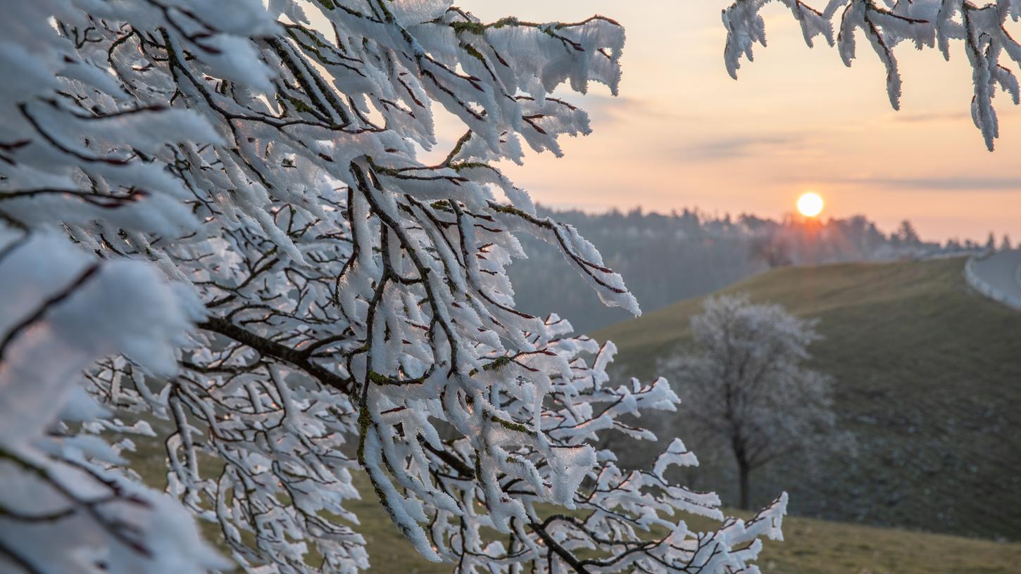 Im Fränkischen Jura wurden bereits die ersten Bäume von Schnee und Raureif angezuckert. 