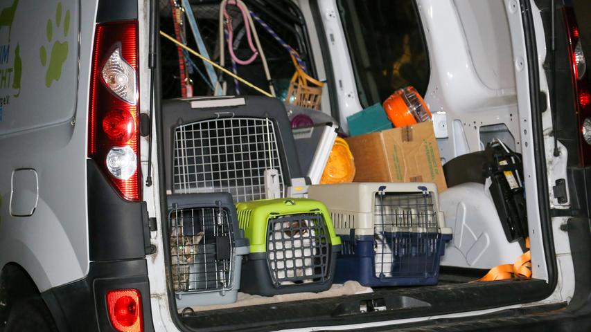 Tierhoarding in Ezelsdorf: Frau warf eine Katze aus dem Fenster, als die Retter kamen