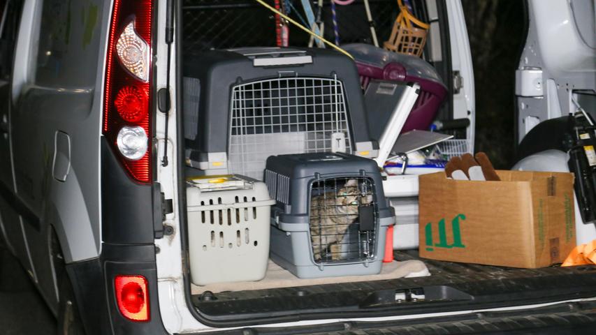 Tierhoarding in Ezelsdorf: Frau warf eine Katze aus dem Fenster, als die Retter kamen