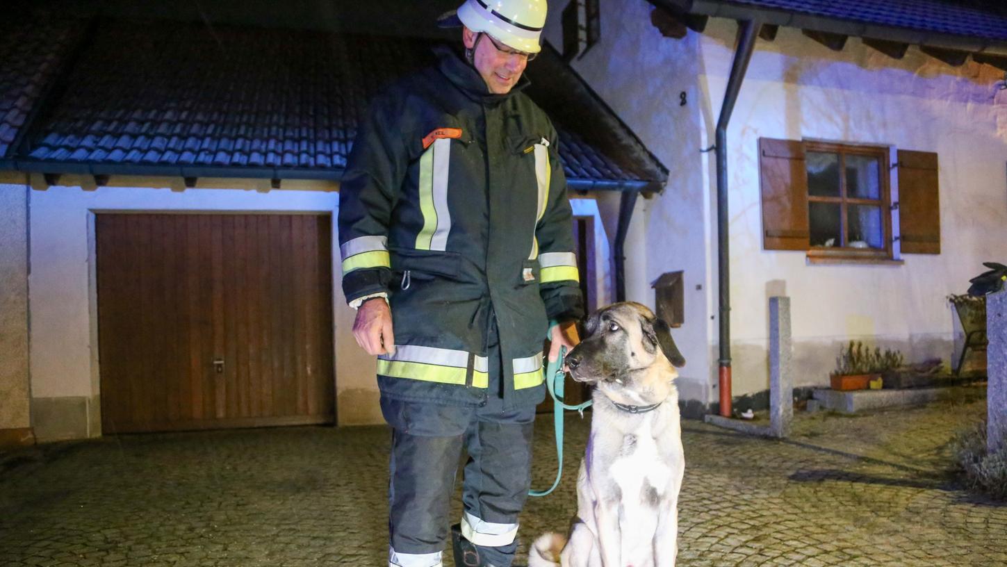 Hund Odin bemerkte das Feuer als erster - und schlug Alarm. 