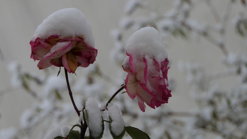 Herzogenaurach: Der erste Schnee ist da