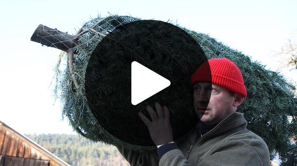 imago images 107196300