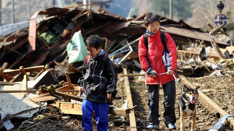 Erdbeben-Katastrophe in Japan