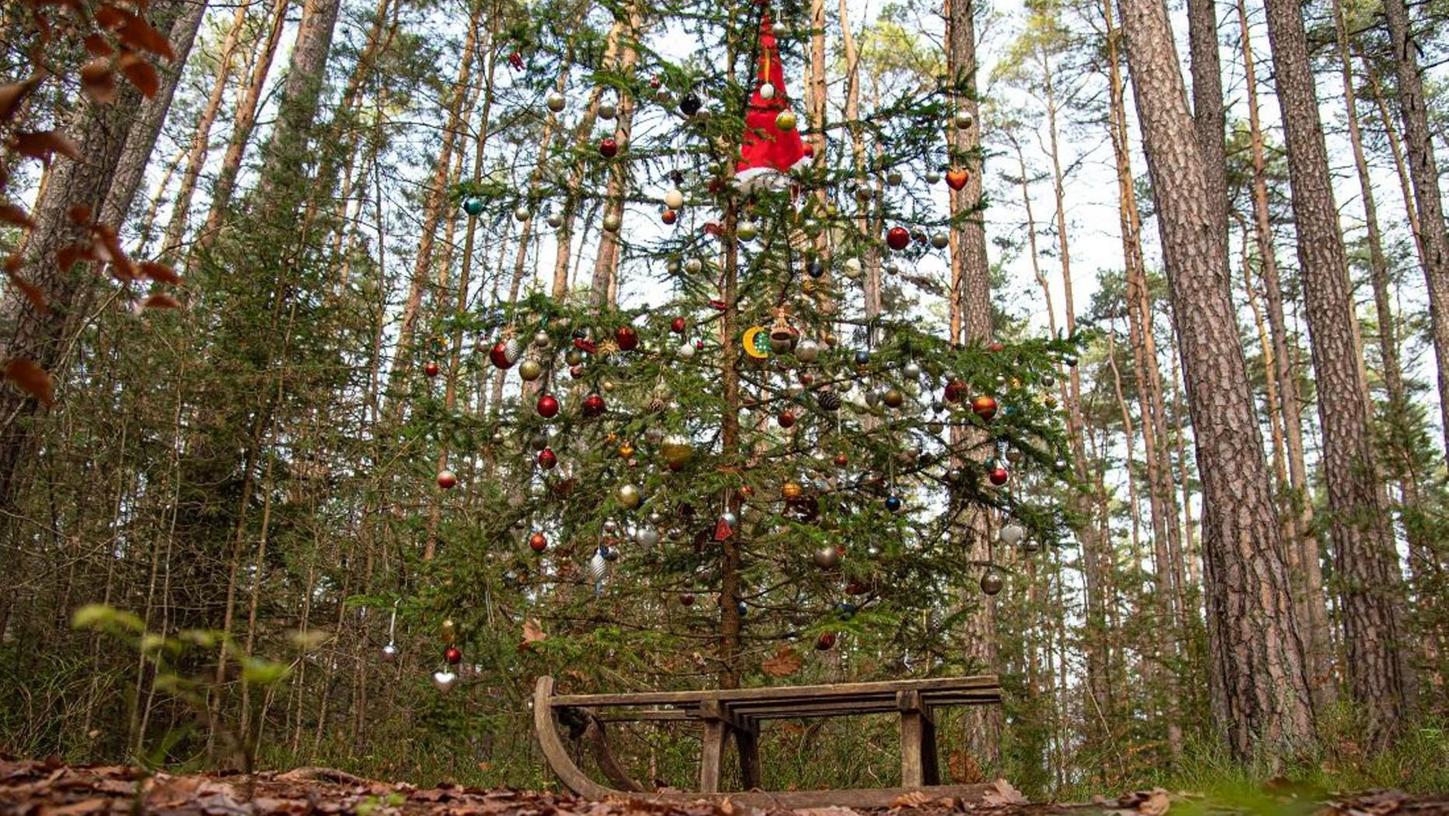 Mysteriöser Christbaum im Wald bei Obermembach