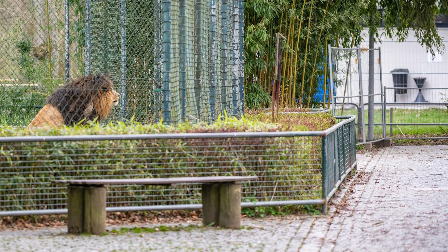 Für die Zoos in Bayern bedeuten die zwischenzeitigen Schließungen und die Besucherbeschränkungen wegen der Corona-Pandemie in diesem Jahr teils Verluste in Millionenhöhe.