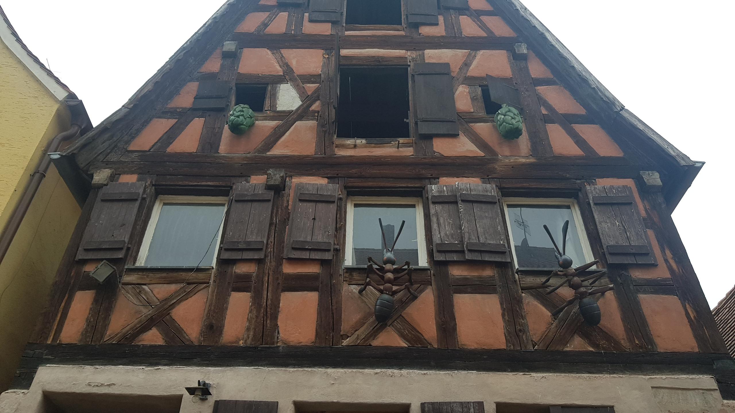Ebenfalls in der Gänsgasse: Das Haus von Ulrich Hallmeyer. An der Wand: Ameisen und Hopfendolden. Der Künstler arbeitet hier seit 13 Jahren.