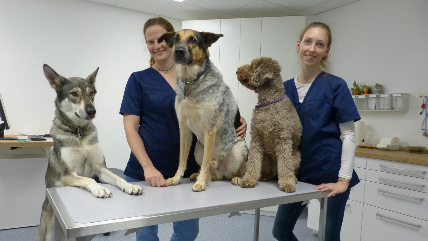 Premiere in Gräfenberg: Tierarztpraxis hat eröffnet