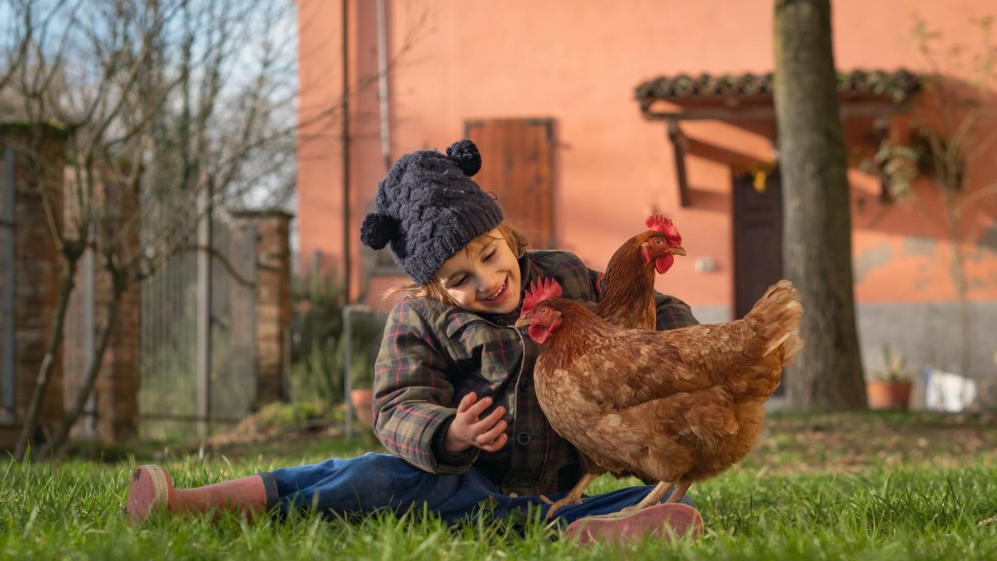 Ein Gehege mit Hahn und Hennen im eigenen Garten kann zu einer Wolfühloase für die ganze Familie werden. 