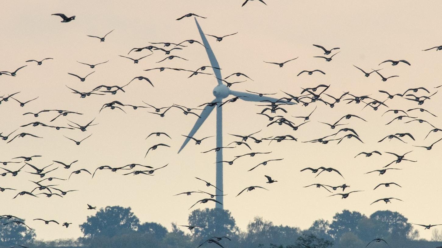 Windräder in Brandenburg: Auch in der Region wehren sich viele Menschen gegen eine angebliche "Verspargelung der Landschaft".