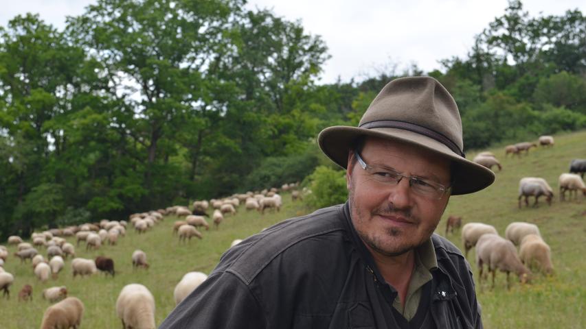 Mit über 600 Schafen unterwegs in Franken: Zu Besuch beim Schäfer Florian Hirsch