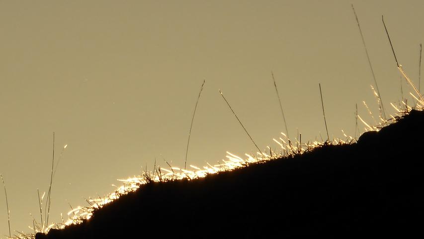 Ein Sonnenuntergang mal ganz anders: Fast könnte man meinen, der Trockenrasen auf dem Walberla-Plateau hat Feuer gefangen.