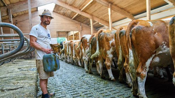 Sieger in der Kategorie Serie: Peter Schatz mit "Anrüchige Malerei". Der Künstler Peter Härtl aus Dietramszell im Landkreis Bad Tölz verwendet Kuhexkremente zum Malen. Auf die Idee kam er vor einigen Jahren bei der Stallarbeit als landwirtschaftlicher Helfer.