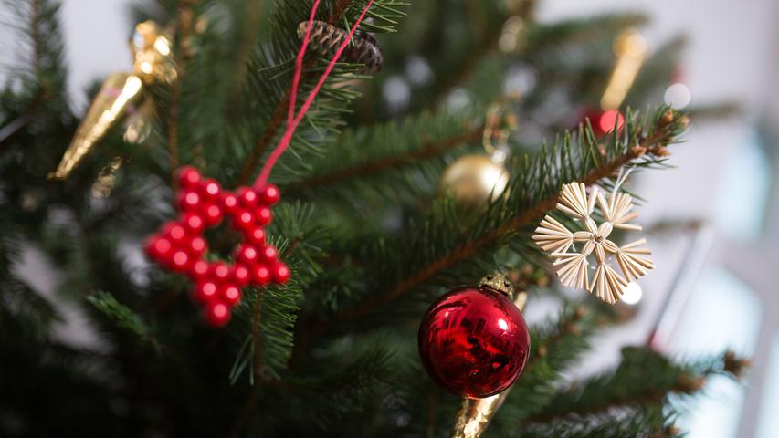 Jeder hat seine Favoriten oder Traditionen, wenn es um das Weihnachtsgericht an Heiligabend geht. Eine Statista-Umfrage hat unter über 1000 Deutschen ermittelt, welches Weihnachts-Festmahl das beliebteste ist.