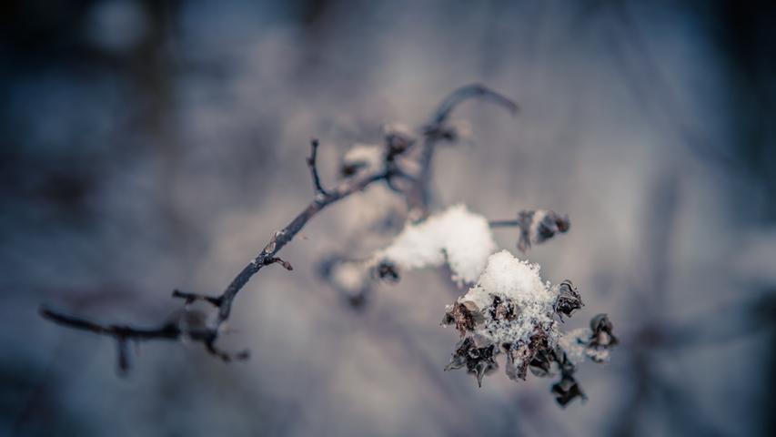 Winterland Fränkische Schweiz: Die schönsten Schneefotos