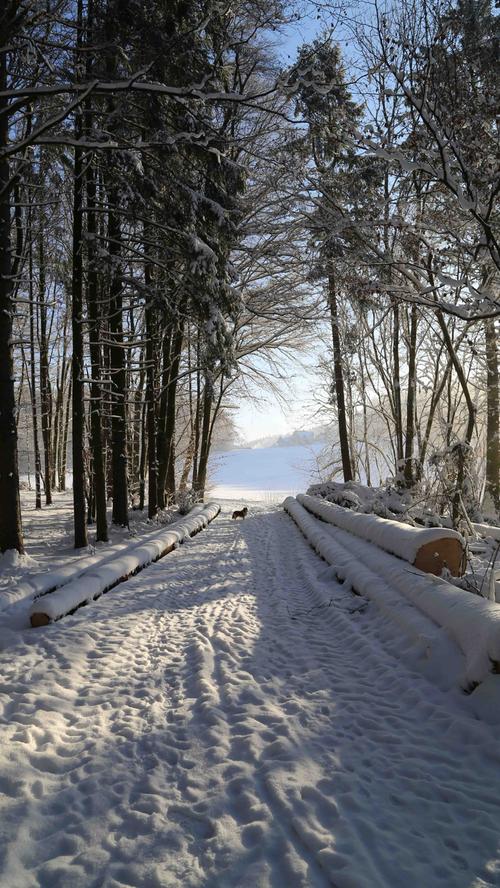Winterland Fränkische Schweiz: Die schönsten Schneefotos