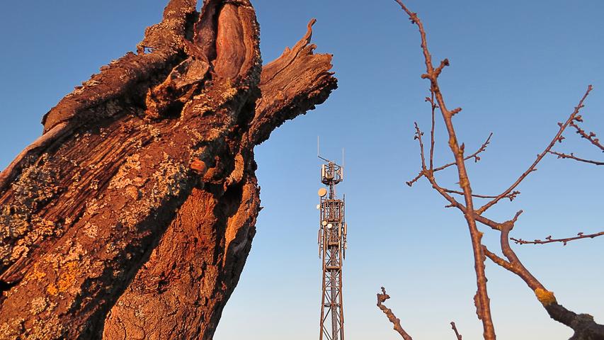 Sieht aus wie Arizona oder Texas, ist aber bei Kalchreuth fotografiert. Der zerklüftete Baumstumpf im Vordergrund und der gradlinig-technische Funkturm dahinter bei strahlend blauem Winterhimmel sorgen für einen reizvollen Kontrast.