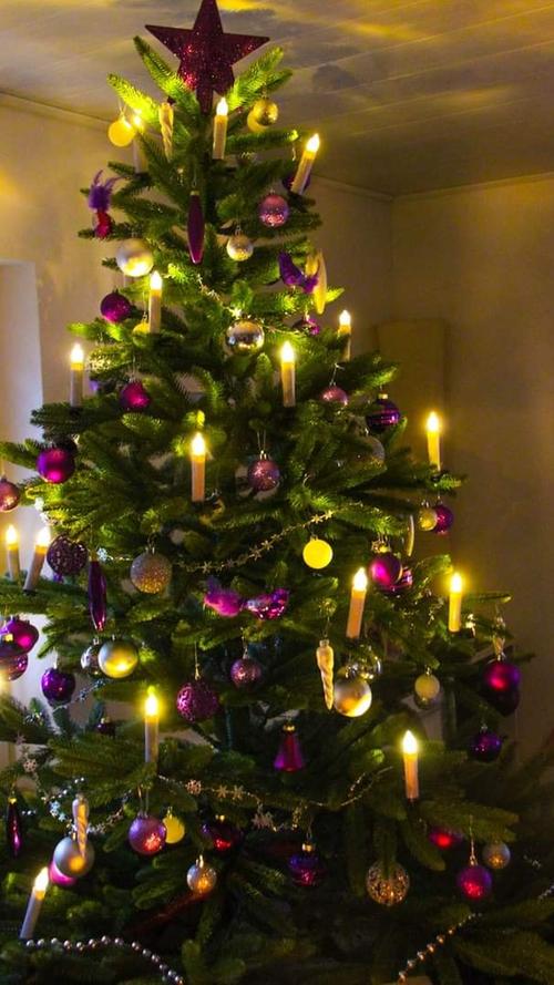 Die schönsten Weihnachtsbäume unserer Facebook-User