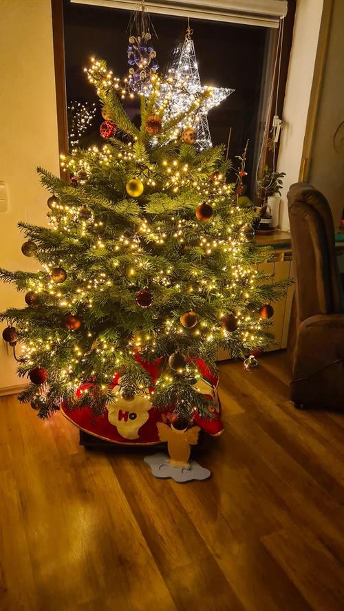 Die schönsten Weihnachtsbäume unserer Facebook-User