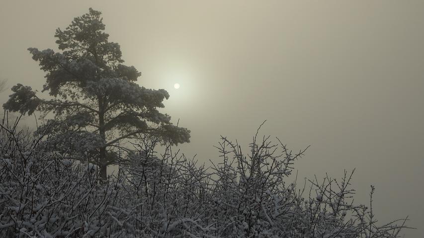 Immer neue mystische Stimmungen entstehen, wenn die Sonne - wie hier am Hesselberg - den Nebel nicht durchdringen kann.