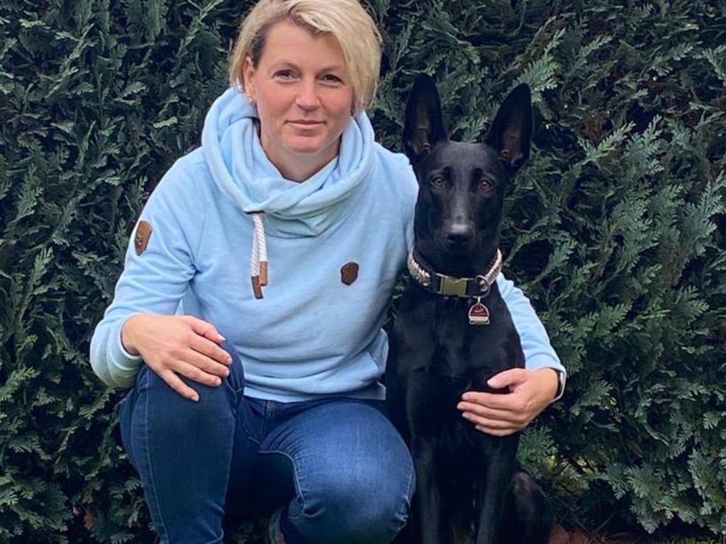 erster kadaversuchhund bayerns spurnase uschi gegen die schweinepest wolframs eschenbach wolframs eschenbach nordbayern de