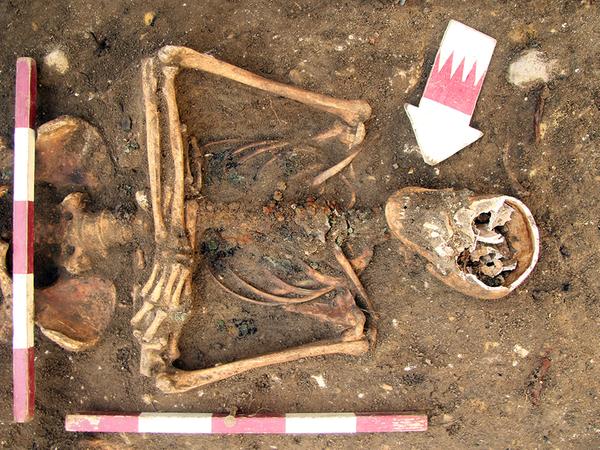 Bei den Ausgrabungen in Eggolsheim fand man unter anderem auch alte Skelette.