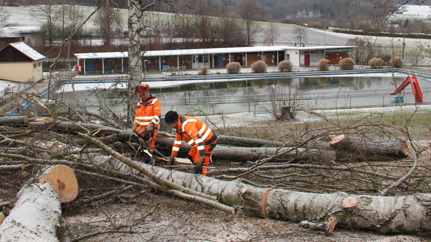 Im Thalmässinger Freibad fallen die Bäume