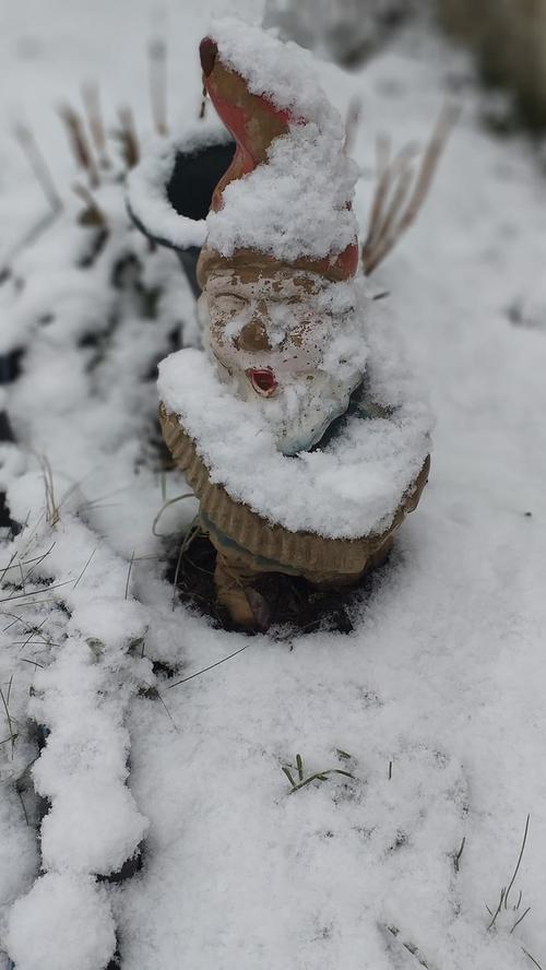 Verschneites Franken: Die schönsten Schneebilder unserer User