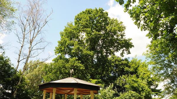 Versteckt im Rednitzgrund bei Weikershof liegt die wegen ihres Geruchs so genannte "Gaggalasquelle" neben einer prächtigen Eiche, auch sie ein eingetragenes Naturdenkmal.