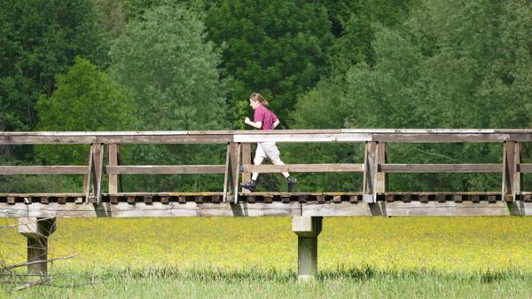 Das größte Natur-Kapital Fürths sind die Flussauen, hier beim Hardsteg über den Rednitzgrund...