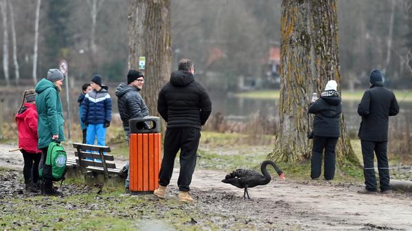 Der Wald ist für viele Menschen ein Zufluchtsort geworden, um der Corona-Angst ein wenig zu entkommen. Manche Ausflugsziele in und um Erlangen werden dabei aber regelmäßig "überrannt".