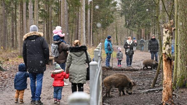 Der Wald ist für viele Menschen ein Zufluchtsort geworden, um der Corona-Angst ein wenig zu entkommen. Manche Ausflugsziele in und um Erlangen werden dabei aber regelmäßig "überrannt".