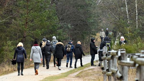 Der Wald ist für viele Menschen ein Zufluchtsort geworden, um der Corona-Angst ein wenig zu entkommen. Manche Ausflugsziele in und um Erlangen werden dabei aber regelmäßig "überrannt".