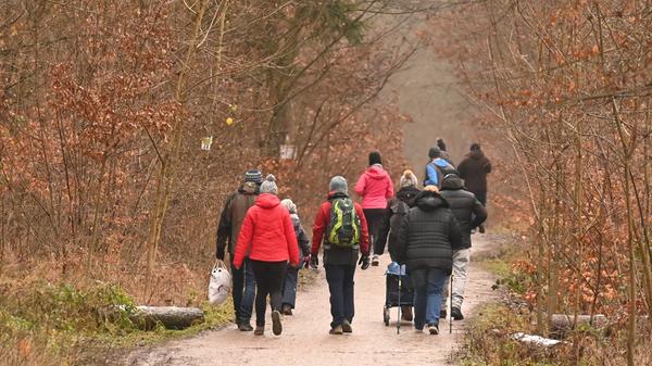 Der Wald ist für viele Menschen ein Zufluchtsort geworden, um der Corona-Angst ein wenig zu entkommen. Manche Ausflugsziele in und um Erlangen werden dabei aber regelmäßig "überrannt".