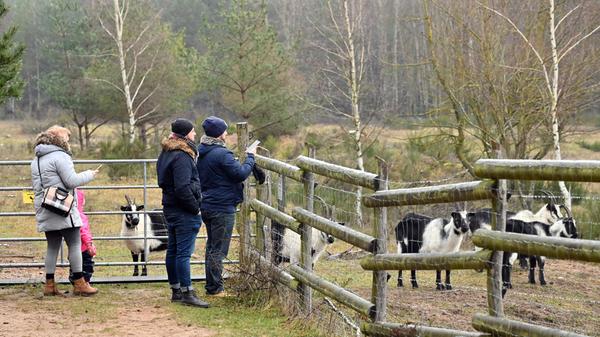 Der Wald ist für viele Menschen ein Zufluchtsort geworden, um der Corona-Angst ein wenig zu entkommen. Manche Ausflugsziele in und um Erlangen werden dabei aber regelmäßig "überrannt".