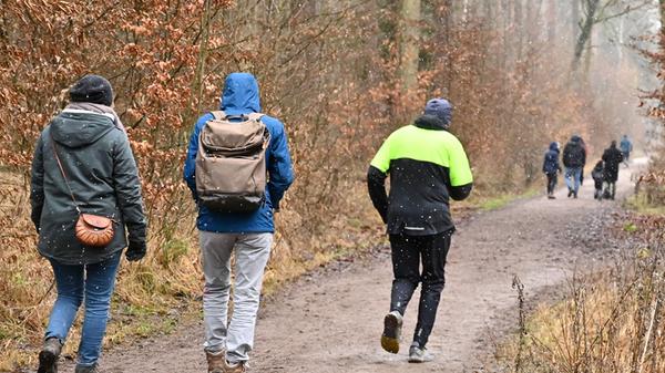 Der Wald ist für viele Menschen ein Zufluchtsort geworden, um der Corona-Angst ein wenig zu entkommen. Manche Ausflugsziele in und um Erlangen werden dabei aber regelmäßig "überrannt".