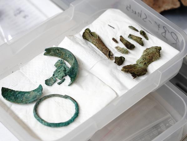 Vor 3000 Jahren: Das gab es laut Archäologen im Knoblauchsland zu essen