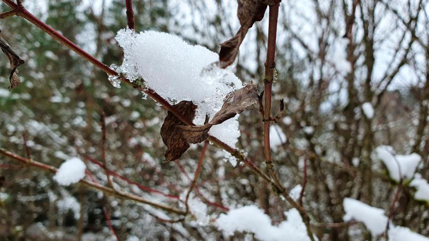 Endlich Schnee: Leicht überzuckert oder mit dicker Decke präsentieren sich Wald und Feld, Wiese und Holzstapel, Marterl und Bänke. Ein Rundgang in Bildern.