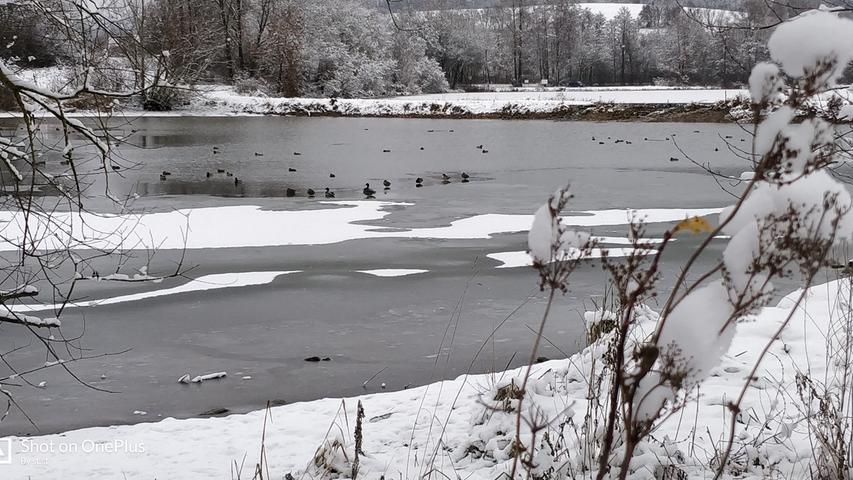 Auch rund um den Hahnenkammsee bei Hechlingen zeigt sich der Winter von seiner schönsten Seite.