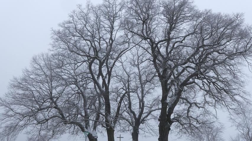 Auch im Winter ein zauberhafter Ort: Der Rastplatz unterhalb der Burg Spielberg mit den vier mächtigen Bäumen.