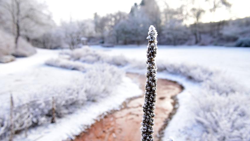 Der Frost sorgt für eine zauberhafte Winterlandschaft