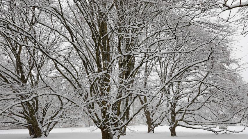 Ein Traum in Weiß: Forchheim unter einer dicken Decke aus Schnee