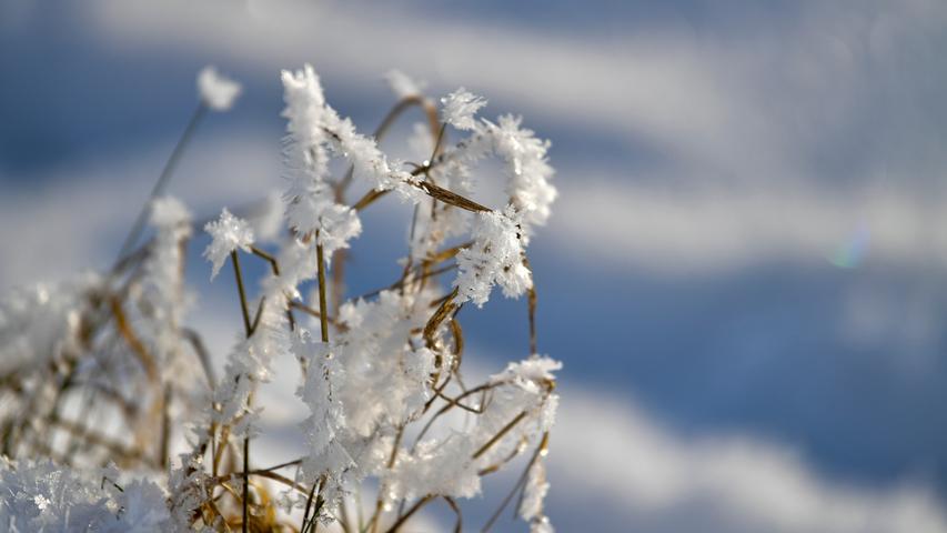 Auf der Jurahöhe pfeift der Wind zu jeder Jahreszeit. Jetzt, im Winter, aber doppelt kalt: Sogar im Sonnenschein schneiden einem die Böen ins Gesicht. Der Wind hat dabei interessante Muster in die Schneefelder gefräst, Eiskristalle und Schneeflocken glitzern im Licht der Sonne. So sie scheint. Überall finden sich dort oben Sonnenblumen-Felder, die von den Landwirten noch nicht untergepflügt wurden und jetzt den Vögeln als Nahrungsquellen dienen. Meisen und Spatzen hüpfen aufgeregt tschilpend von Blüte zu Blüte auf der Suche nach dem letzten Sonnenblumen-Kern der Pflanze. Und steigen beim leisesten Geräusch wachsam auf in den blauen Himmel, wo sie aufgeregt ihre Runden drehen, wild mit den Flügeln schlagend, bis die Gefahr vorüber ist. Und sie sich wieder niederlassen und weiter picken.