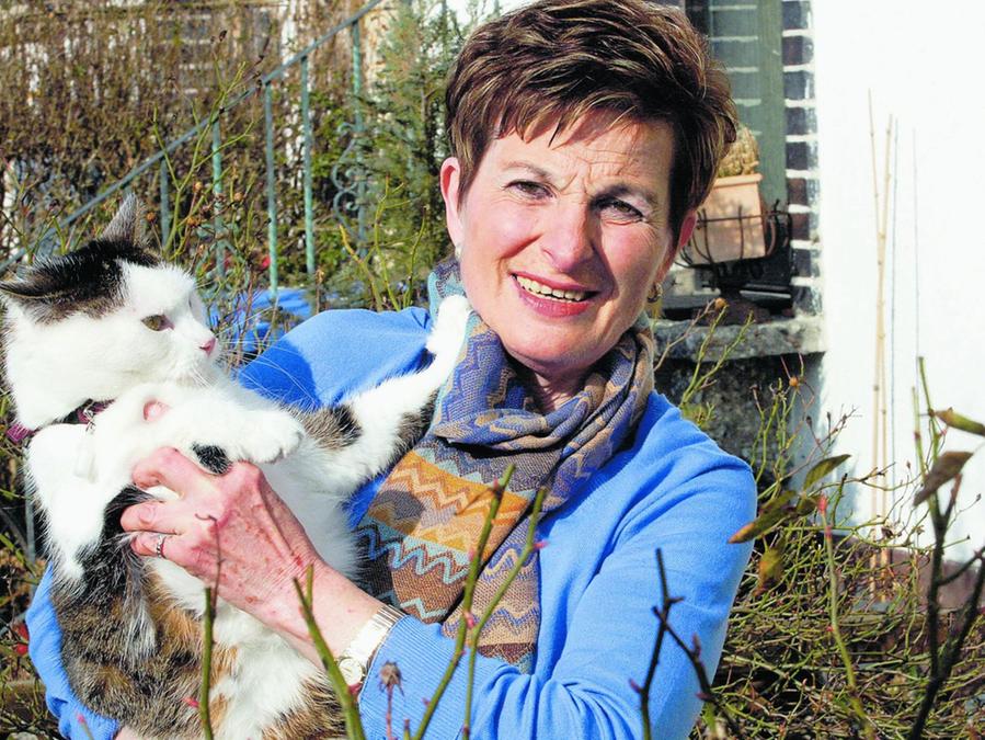 katzen sind balsam fur die seele nurnberg ruckersdorf nordbayern de