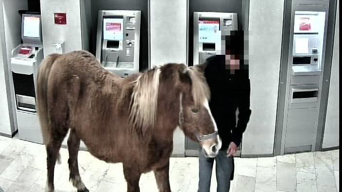 So einen Einsatz hat die Polizei nicht alle Tage: Im oberbayerischen Murnau brachte ein betrunkener Mann ein Pferd mit in die örtliche Sparkassenfiliale. Das Tier verursachte einiges an Chaos - und büxte dann prompt aus.