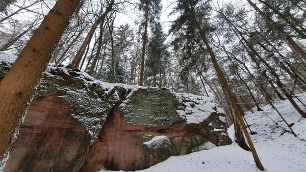 Der Steinbruch Katzenstein im Stadtwald bei Oberfürberg, ist über einen reizvollen Waldlehrpfad von der Försterei aus zu erreichen. Im Mittelalter wurde hier wie an etlichen anderen Orten der für die Region charakeristische Sandstein abgebaut.