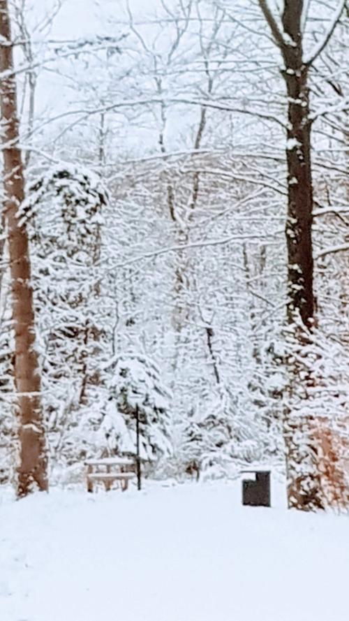 Neuschnee in Franken: Das sind die schönsten Winterbilder unserer User