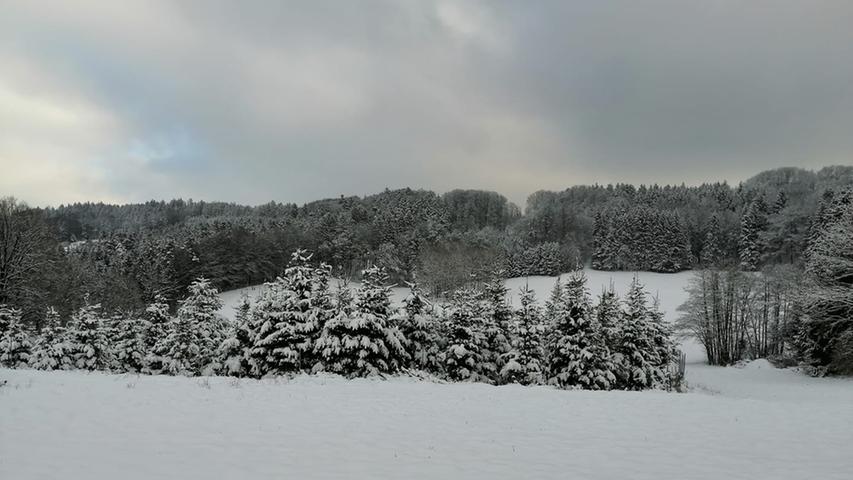 Neuschnee in Franken: Das sind die schönsten Winterbilder unserer User