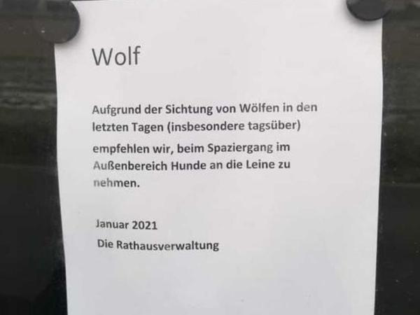 Wolf am Vormittag gesichtet: Er rannte quer durch fränkischen Ort