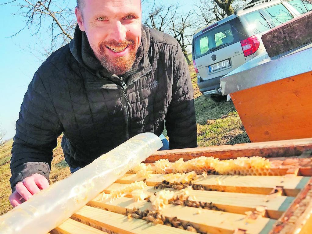 Tote Völker und hungernde Bienen rund um Erlangen